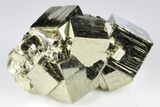 Shiny, Cubic Pyrite Crystal Cluster - Peru #178383-1